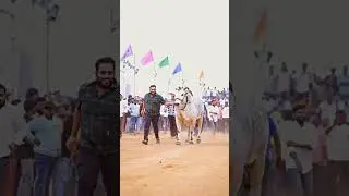 Dheera | DVR Memorial