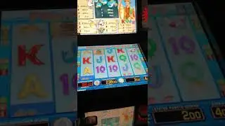 Fishin Frenzy MAX BET Alles oder NiX Merkur Magie