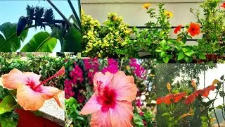 Beautiful day S.P.Creations #garden #flowers #nature 