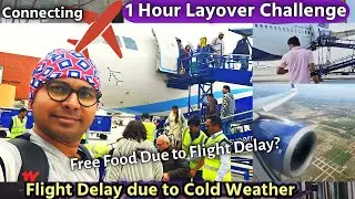 Free Food Due to Flight Delay | Connecting Flight 1-Hour Layover Challenge