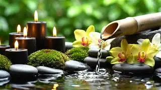 🍃 Sunlight Through Bamboo – Gentle Piano & Flowing Water Calm 🌊