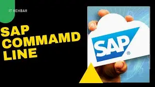 Work with SAP command field