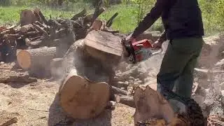 Inside a Day Where Every Cut Matters (STIHL 361 & 462)