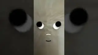 А какое у тебя настроение?😏 #sad #duet #memes #alonebuthappy #мурсдей #emoji #emojicat #симбол