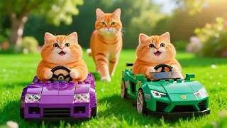 Father Cat takes the kittens to harvest potatoes on the farm, he fries the potatoes for them to eat.