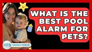 What Is The Best Pool Alarm For Pets? - Raising A Toddler