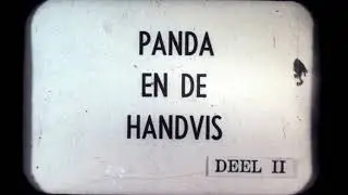 Panda en de handvis - deel 2 - Clairo filmstrip