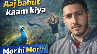 Aj bahut kam kiyaa mitroo / Aj dekhe hamne bahut sare mor 🦚