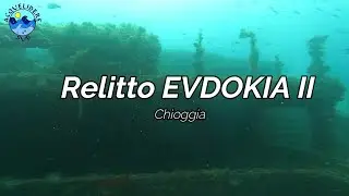 Evdokia II - Relitto del Mercantile al largo di Chioggia - Relitti visitabili dell'Alto Adriatico
