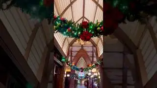 Последняя неделя рождественских украшений в отеле Aulani! #disney #hawaii #aulani #dvc #MartysCorner