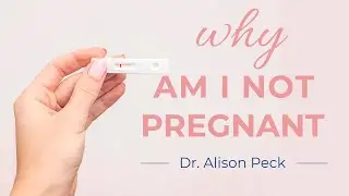 Dr. Alison Peck - &ldquo;Why Am I Not Pregnant?&rdquo; Webinar
