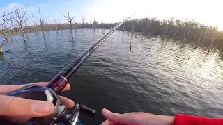 Fishing In a Flooded Forest
