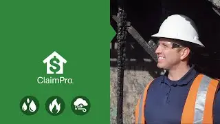 Property Damage: You&rsquo;re Not an Expert