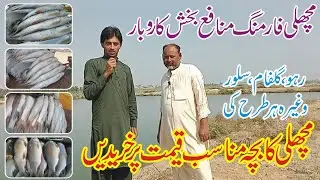 Fish Farming Business In Pakistan | Baby Fish for Sale