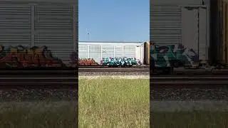 We Ride by Train SHORTS￼