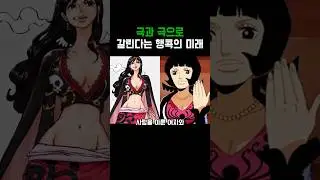 원피스)둘로 나뉜 행콕의 미래