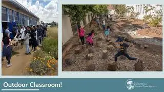 Native Gardening Chats: Native Plants in the Built Environment