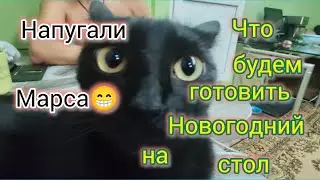 Что будем ГОТОВИТЬ на Новогодний стол/Список ПРОДУКТОВ/Зима закончилась н/Закупка и ОБЗОР продуктов.