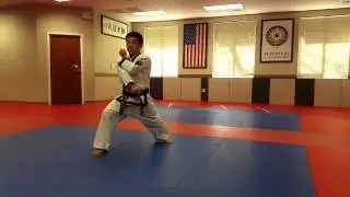 Ki Cho Hyung il Bu - Basic Form #1 Current White Belts