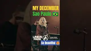 Beautiful! My December live at Sao Paulo Brazil 2024|LINKIN PARK #linkinpark #short