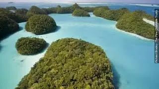A Tiny Island Nation Just Created A Giant Marine Sanctuary - Newsy