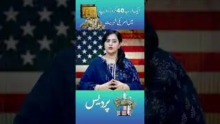 US Visa for 1.4 Billion Rupees #usa #us #usvisa #uscitizenship #usimmigration #pakistan #trumpcard