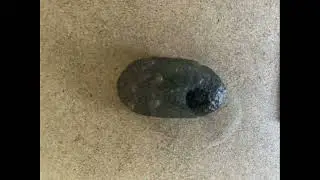 Ancient history of Aportation  (Items recorded)