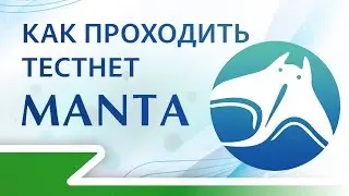 Как проходить тестнет Manta Network