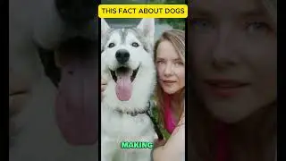 A Fact About Dog's Hearing  #shorts #animals #animalintelligence #dogtraining