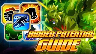 HIDDEN POTENTIAL GUIDE: HOW TO BUILD EZA LR PHY BIO BROLY HIDDEN POTENTIAL [Dokkan Battle]