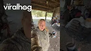 Indyk imituje płukanie gardła wodą || ViralHog