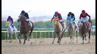Türk Silahlı Kuvvetleri Koşusu (Grup - 1) 30/09/2017