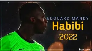 Edouard Mandy best saves 2021/2022