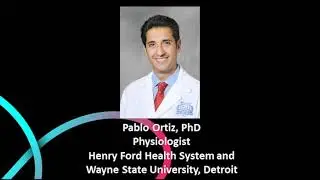High-fat Diet Induces High Blood Pressure in Rat Kidneys