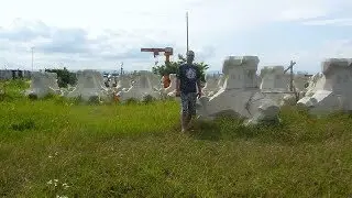 New Tetrapods in Japan