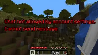 FIX Chat not allowed by account settings. Cannot send message in Minecraft.