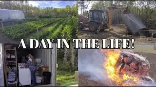 День из жизни нашего маленького поместья (СЛУЧИЛОСЬ НЕОЖИДАННОЕ)