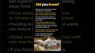 France Found a Brilliant Way to Stop Food Waste