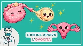 Anatomia dei genitali femminili (utero, tube, ovaie)