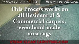 Steam Carpet Cleaning Naples