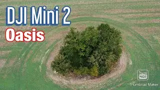 DJI Mini 2 Drone. Isolated Pond Wragby. Lincolnshire. 2.7k, 60 Fps.