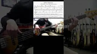 【THE ALFEE】DNA Odyssey ベース弾いてみた【Bass cover】
