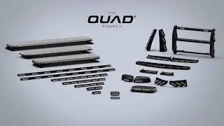 Будущее за QUAD