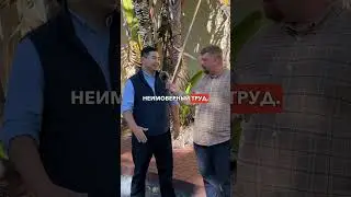 Из Бишкека 3 года в США: стал успешным адвокатом в США #жизньвсша #работавсша #переездвсша #адвокат