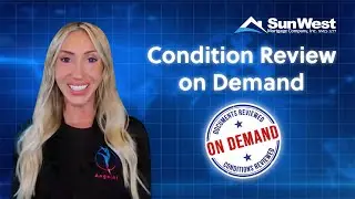 Angel Alert! Condition Review on Demand!