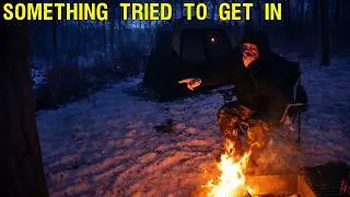 It tried to GET INTO MY TENT - TERRIFYING night of CAMPING