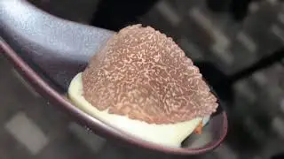 Sneak Peek of Uchi Miami with Chef Tyson Cole