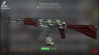 Ak-47 Slate x4 gold nip rmr