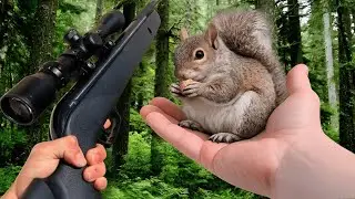 Gamo Varmint Air Rifle VS. Squirrels!