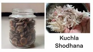 Kuchla Shodhana (Nux Vomica Seed Purification)